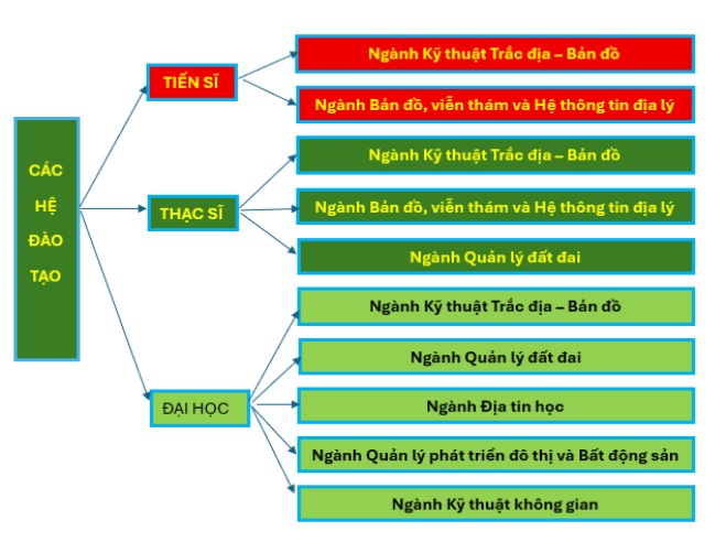Đào tạo